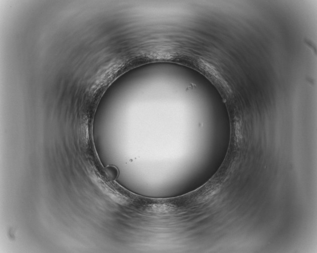 X0000102490541200808151459