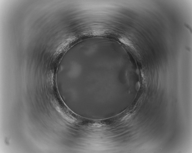 X0000102490542200808151459