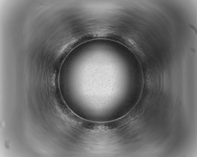 X0000102490543200808151459