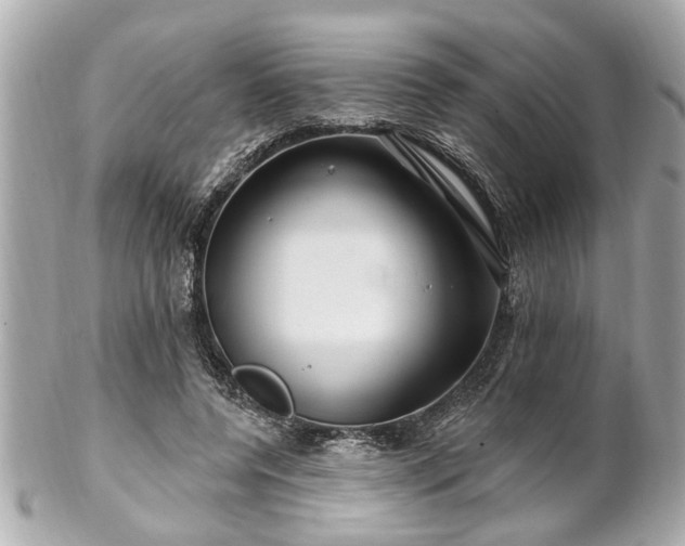 X0000102490544200808151459