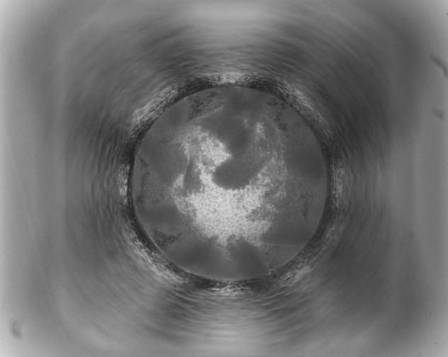 X0000102490545200808151459