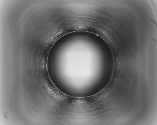 X0000102490546200808151459