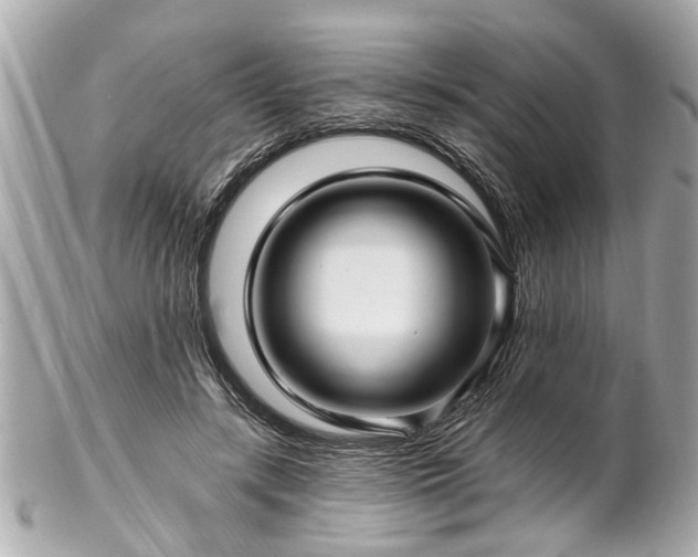 X0000102490547200808151459