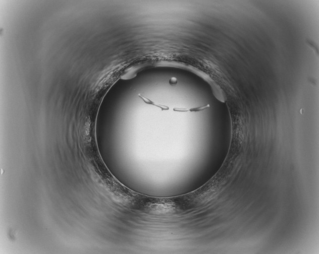 X0000102490548200808151459