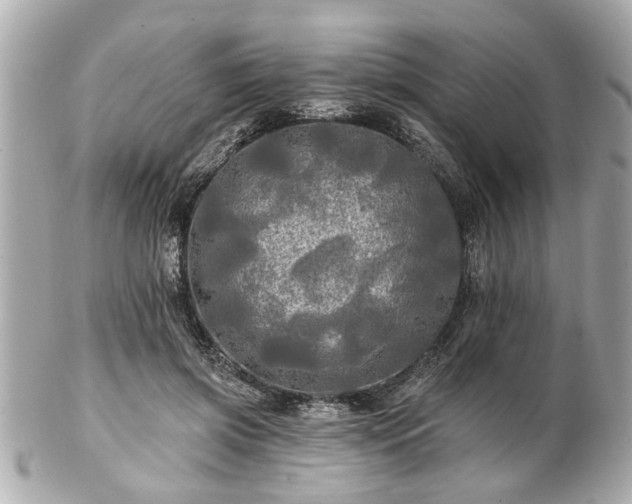 X0000102490549200808151459