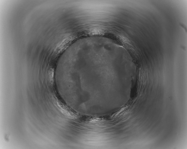 X0000102490550200808151459