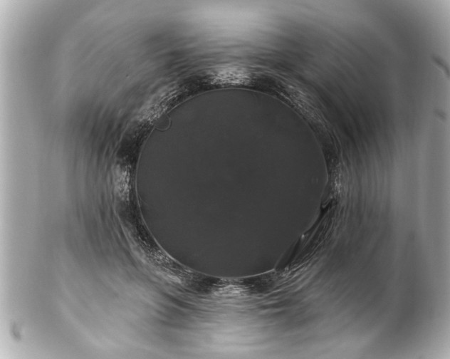 X0000102490551200808151459