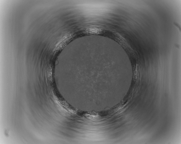 X0000102490552200808151459