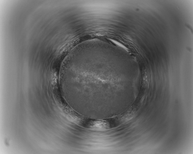 X0000102490555200808151459