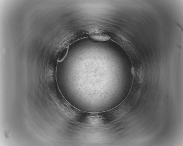 X0000102490556200808151459