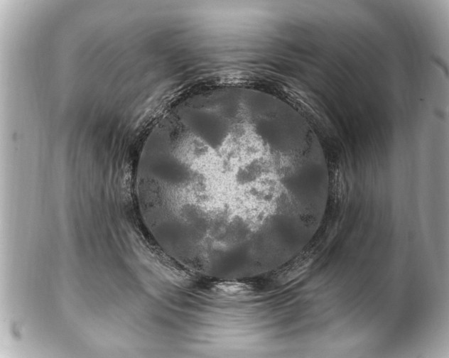 X0000102490557200808151459