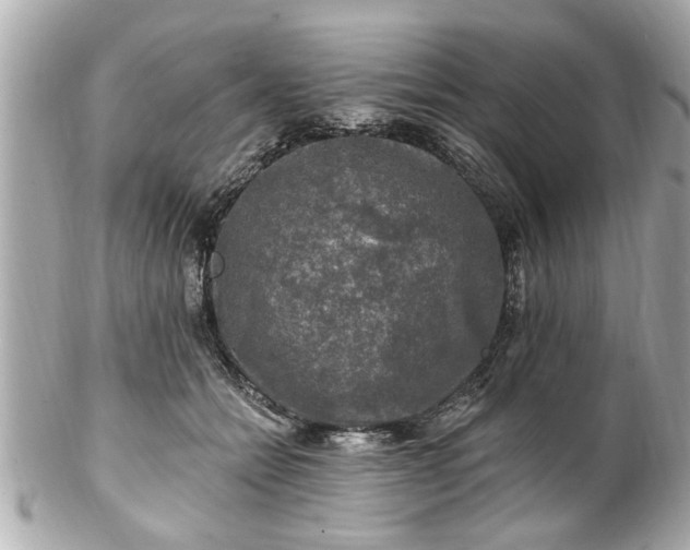 X0000102490558200808151459