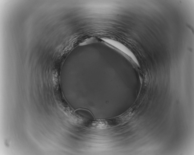 X0000102490559200808151459