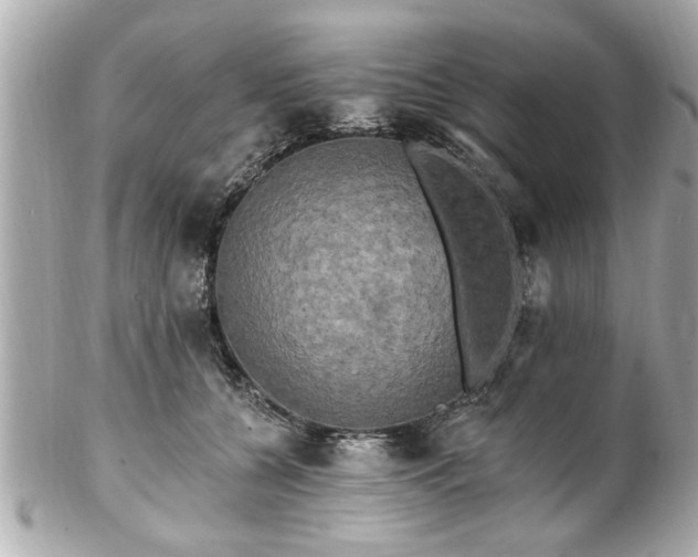 X0000102490560200808151459