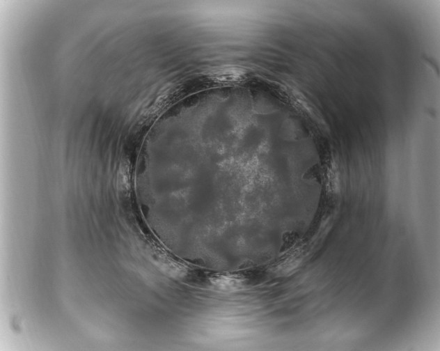 X0000102490561200808151459