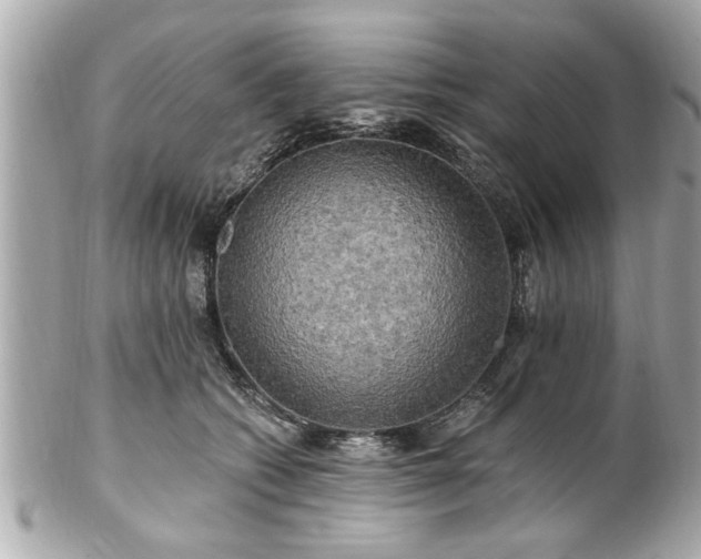 X0000102490562200808151459