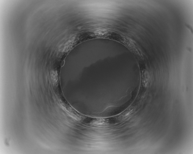 X0000102490563200808151459