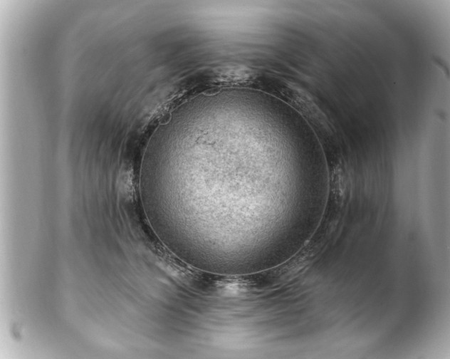 X0000102490564200808151459