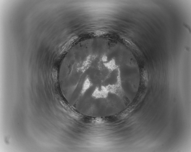 X0000102490565200808151459