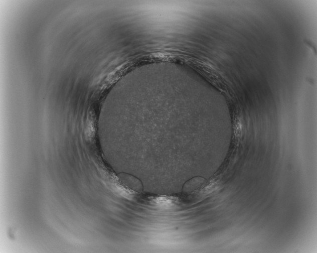 X0000102490566200808151459