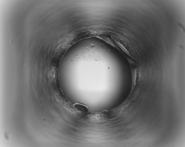 X0000102490567200808151459