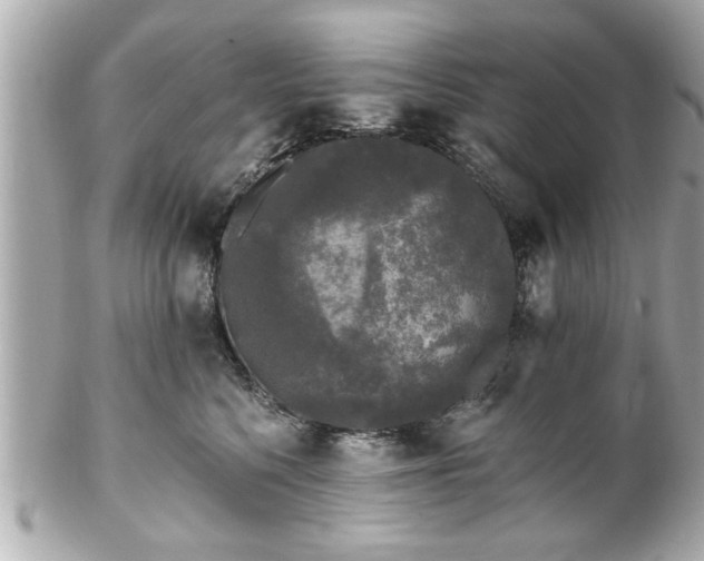 X0000102490568200808151459