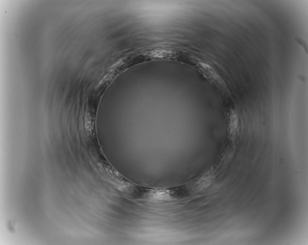 X0000102490569200808151459