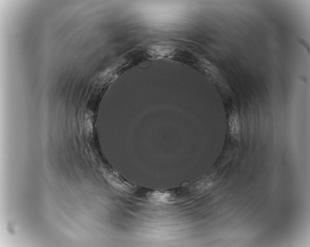 X0000102490570200808151459