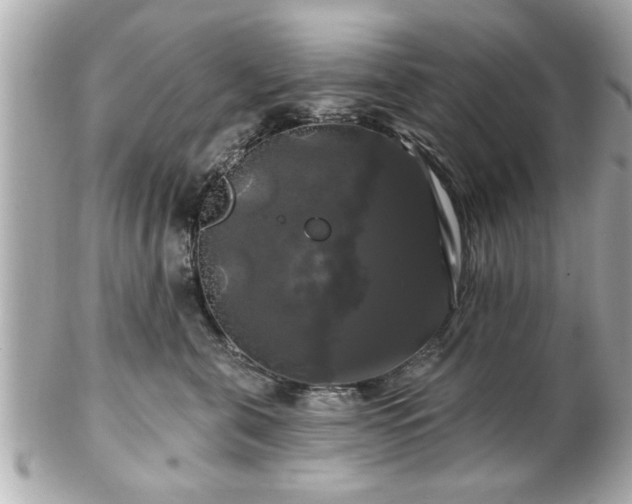 X0000102490571200808151459