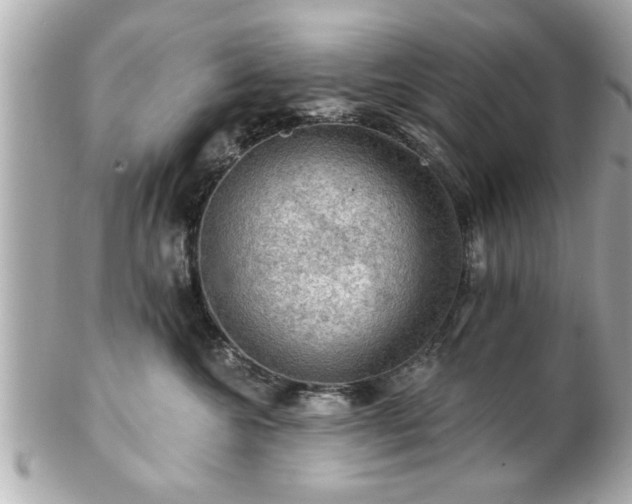 X0000102490572200808151459