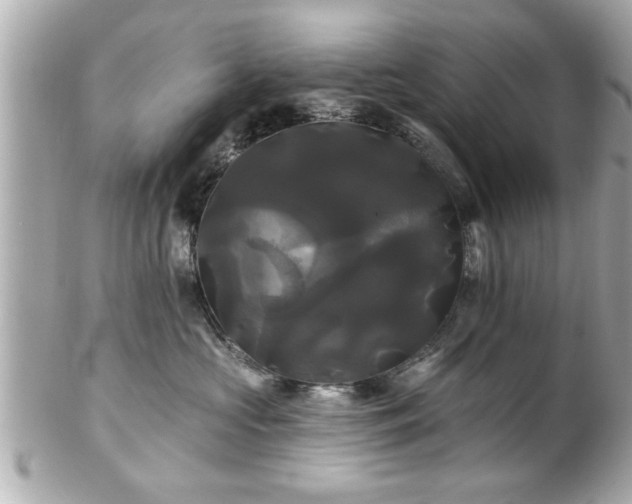 X0000102490573200808151459