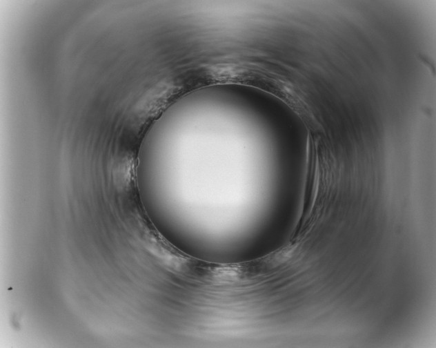 X0000102490574200808151459