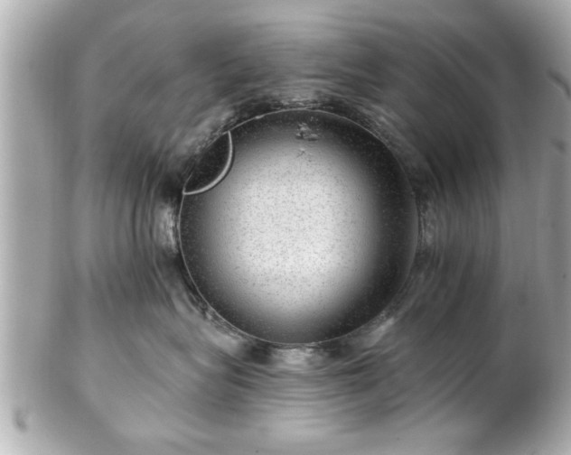 X0000102490575200808151459