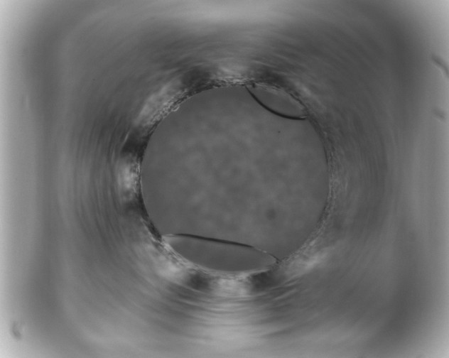 X0000102490576200808151459