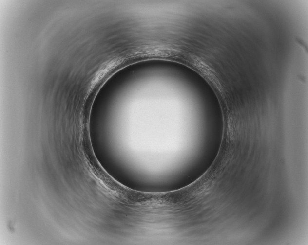 X0000102490578200808151458