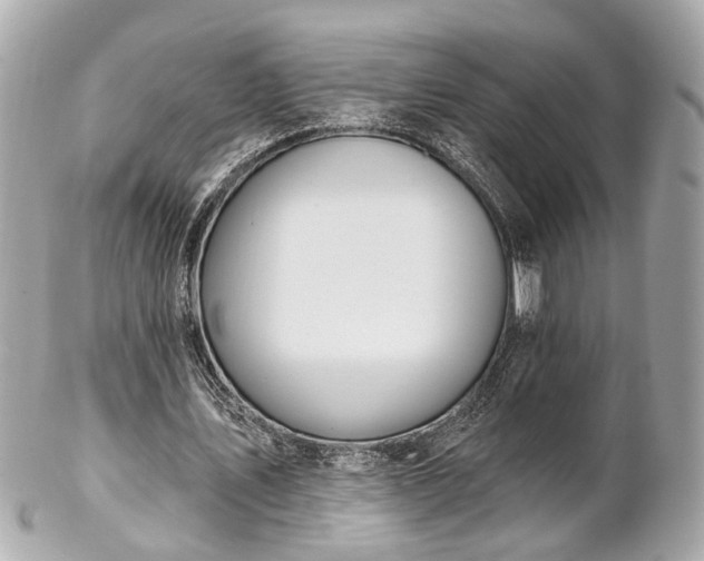 X0000102490579200808151458