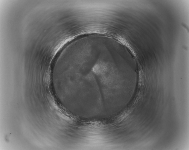 X0000102490580200808151458