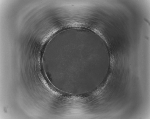 X0000102490581200808151458