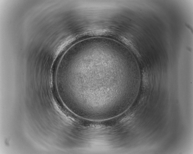 X0000102490582200808151458