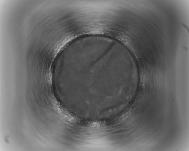 X0000102490584200808151458