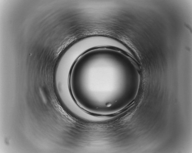 X0000102490585200808151458