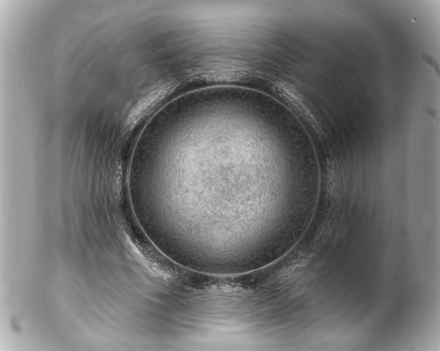 X0000102490586200808151458