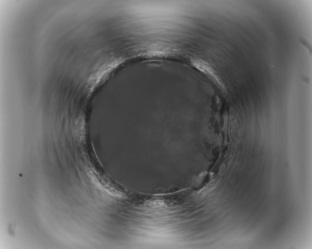 X0000102490588200808151458