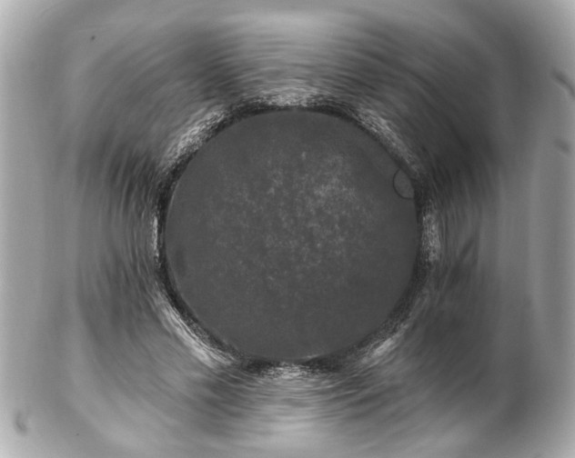 X0000102490589200808151458