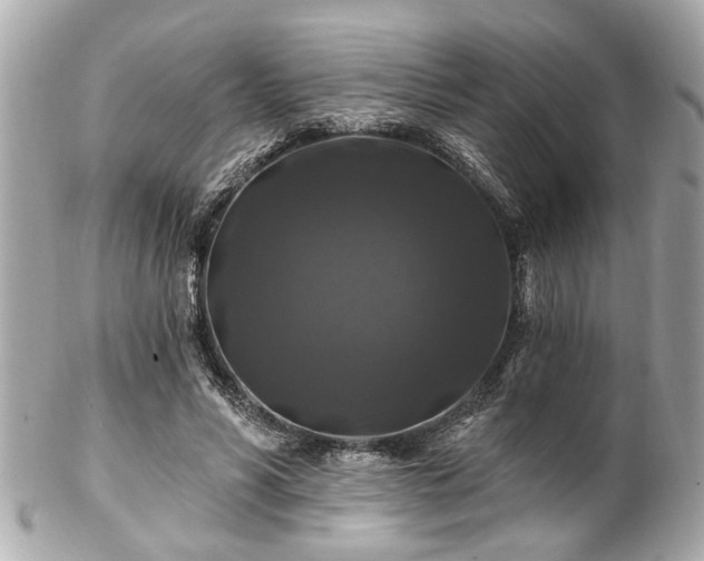 X0000102490590200808151458