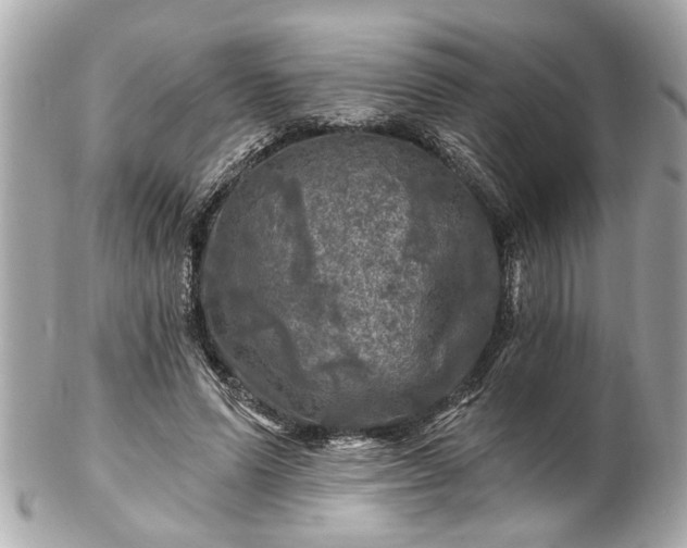 X0000102490591200808151458