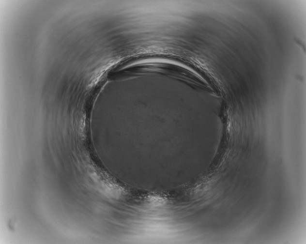 X0000102490592200808151458