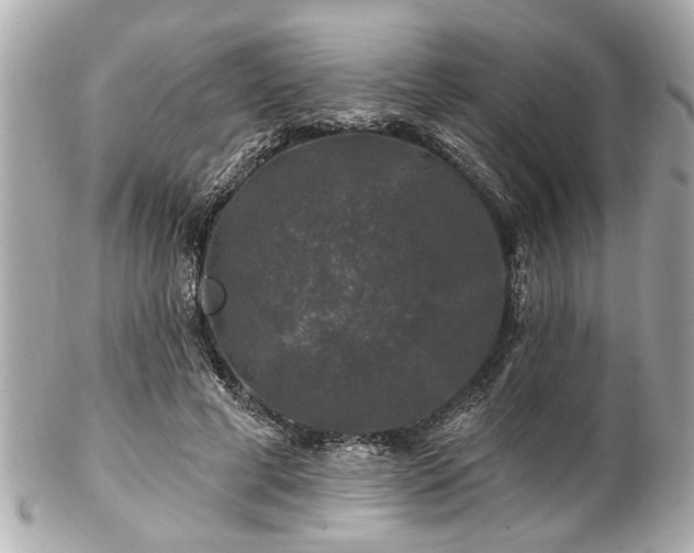 X0000102490593200808151458