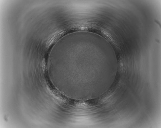 X0000102490594200808151458