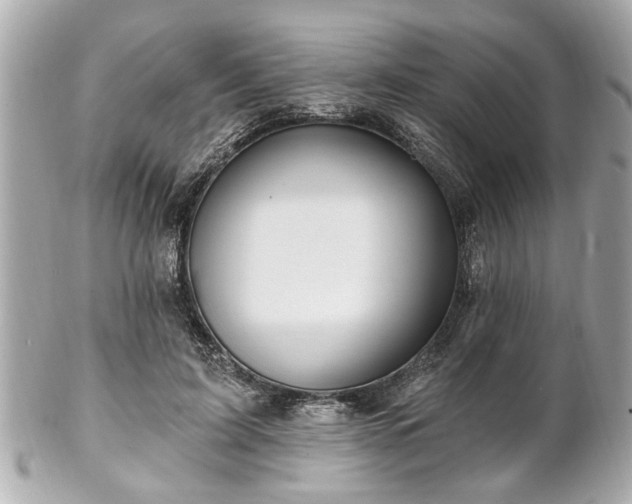 X0000102490595200808151458